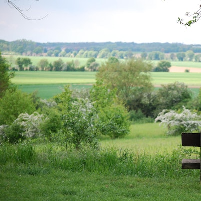 Roemerkanal_Bank_DSC_0014_JPG