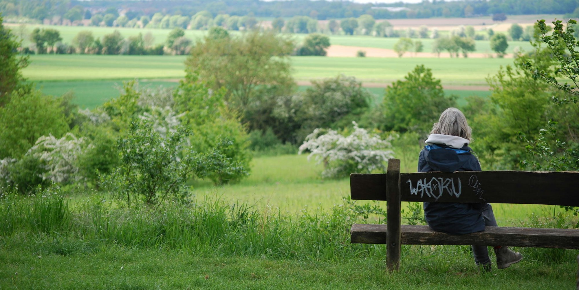 Roemerkanal_Bank_DSC_0014_JPG