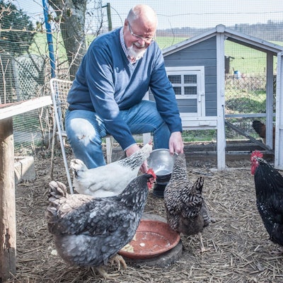 huehnerstall-fettehenne-LE-leverkusen24032021ALF_9401