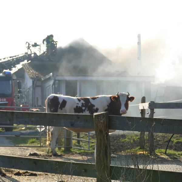 Huppenhardt_Feuer1