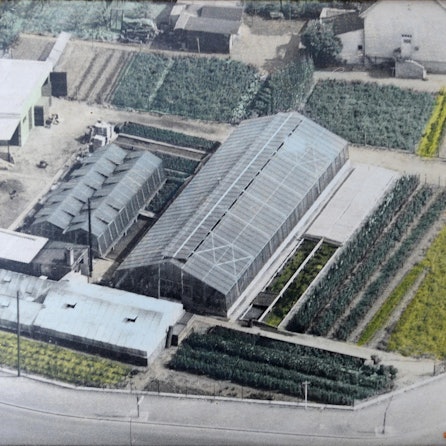 le-heimatcheck-quettingen_(1)