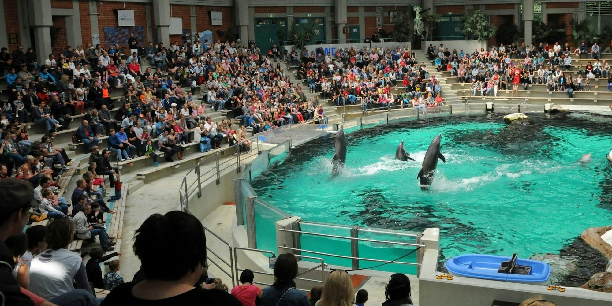 Delfinarium Duisburg