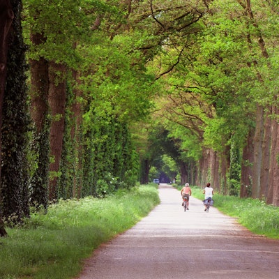 Acht_Schloesser_an_e_60608348