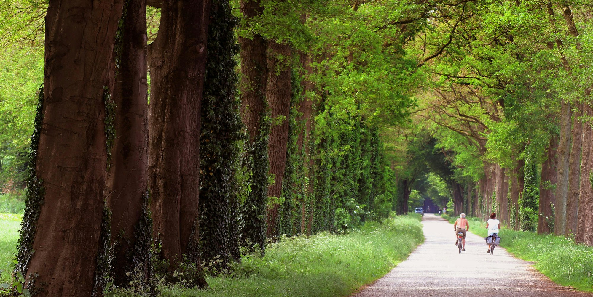 Acht_Schloesser_an_e_60608348