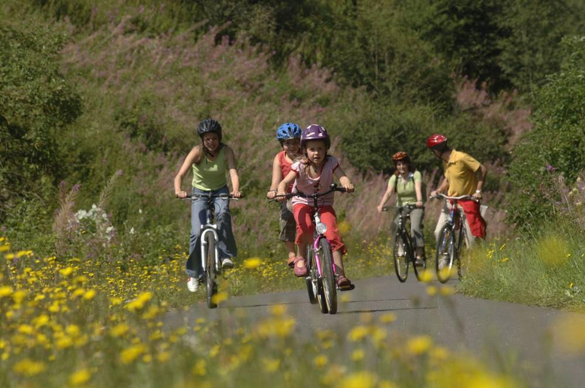 Radweg vulkaneifelDPA