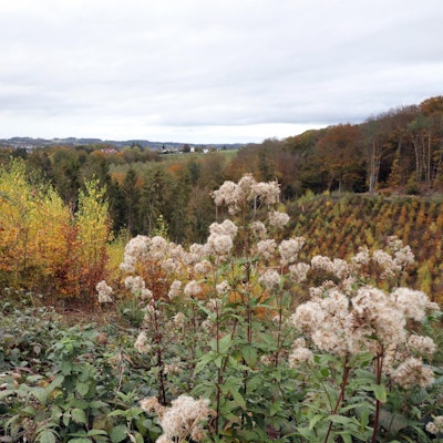 Wanderbahnhof-Eulenthal_8759