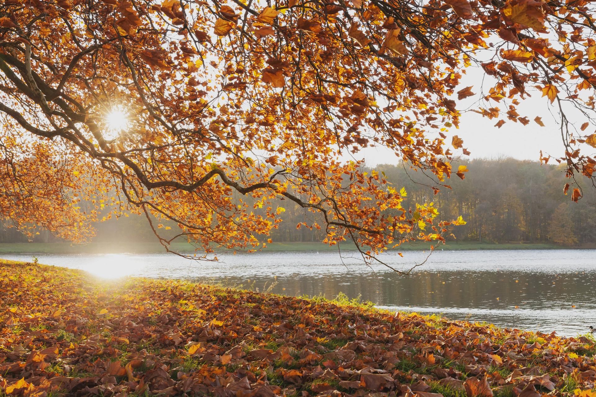 imago westend61 decksteiner weiher herbst