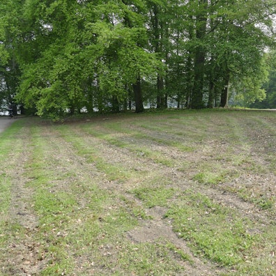 MDS-KSTA-2019-05-16-71-147384571