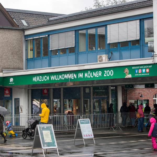 Kölner Zoo Eingang
