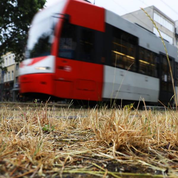 Wetter_in_Koeln_65564737