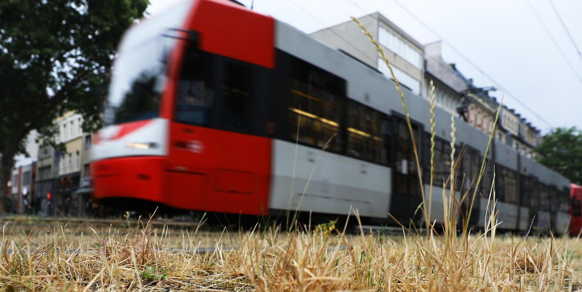 Wetter_in_Koeln_65564737