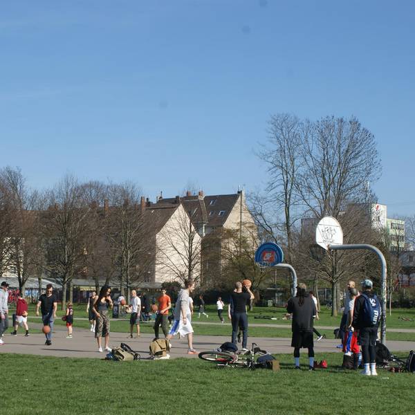 Basketball Grüngürtel