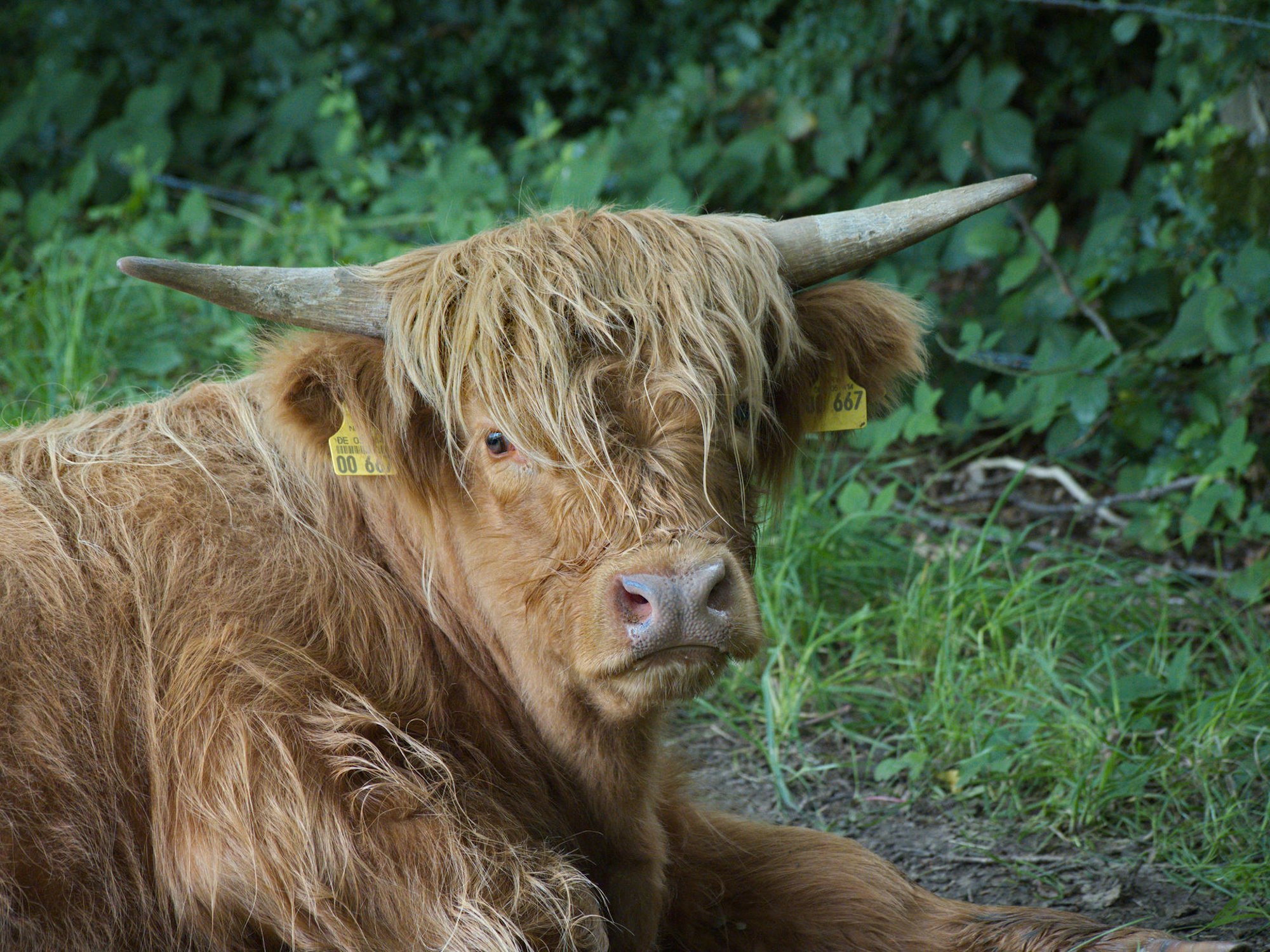 Tierisch wird es beim Biobauernhof.