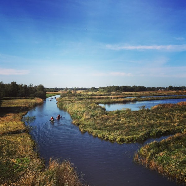 44052497_10216861044741332_7144340864653852672_o