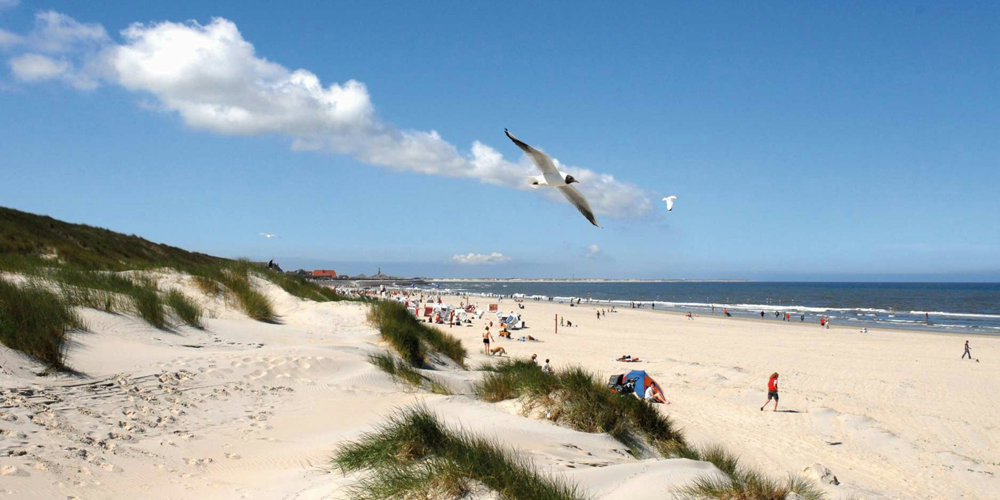 nordsee_insel_dpa (8)