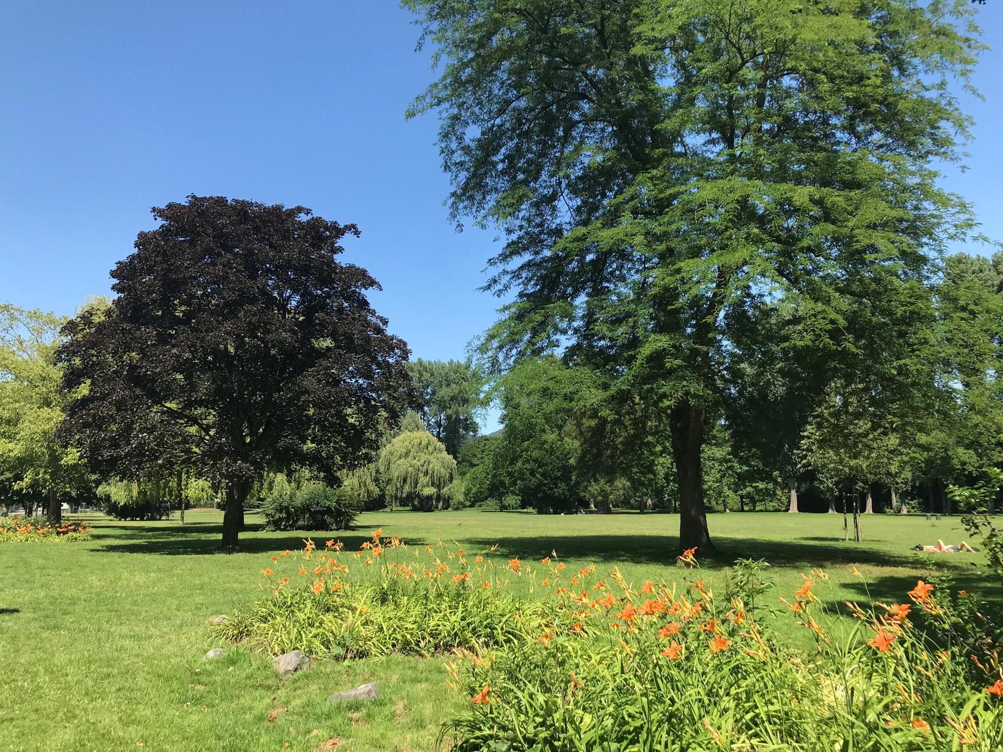 ParkGrafenwerth_Handy_rei