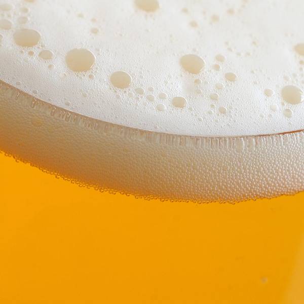 Bier