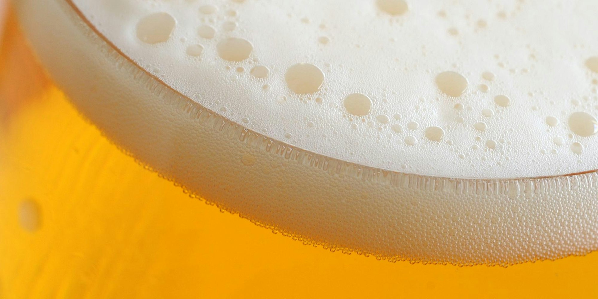 Bier