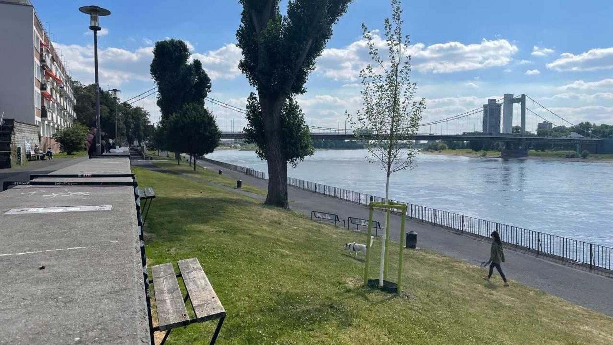 Bänke, die an einer Mauer befestigt sind, mit Blick auf den Rhein