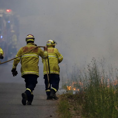 NSW Buschfeuer DPA 121119