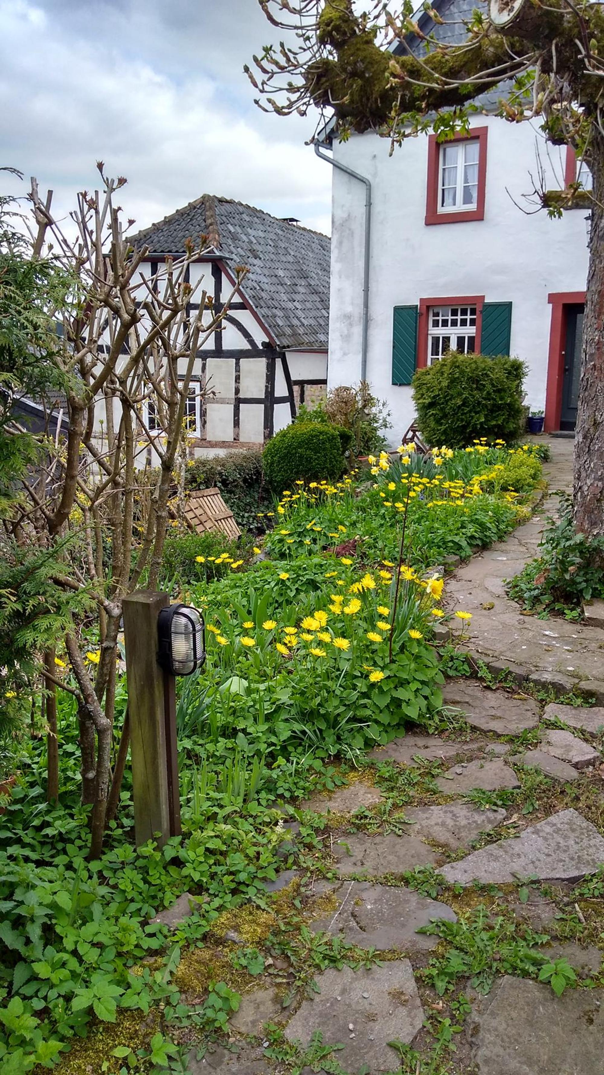 Eifel Reifferscheid Reiche