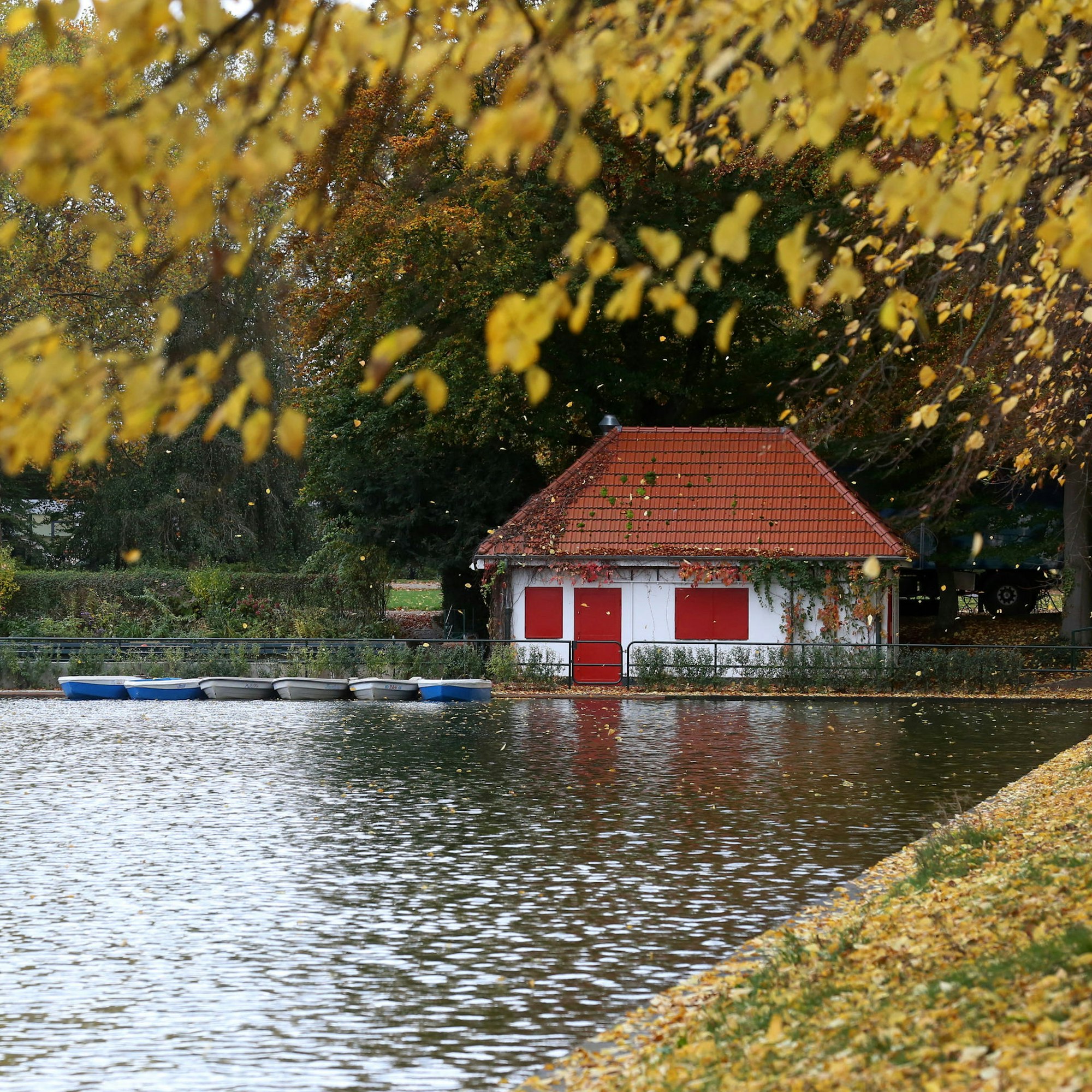 digas-173769558_MDS-KSTA-2020-10-30-71-166667491