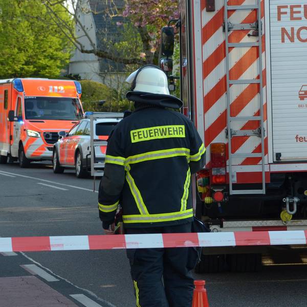 Neuer Inhalt