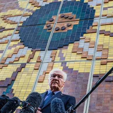 Steinmeier Sonnenblumenhaus