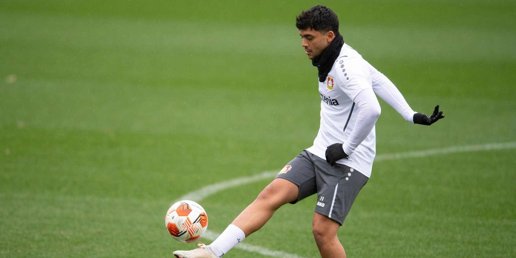 7B447B0F-4B88-41CE-985E-EF7982E49B6C