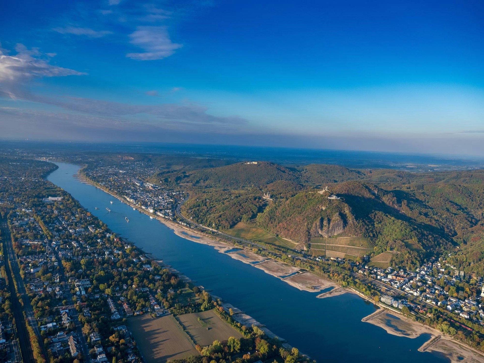 Wein am Rhein12