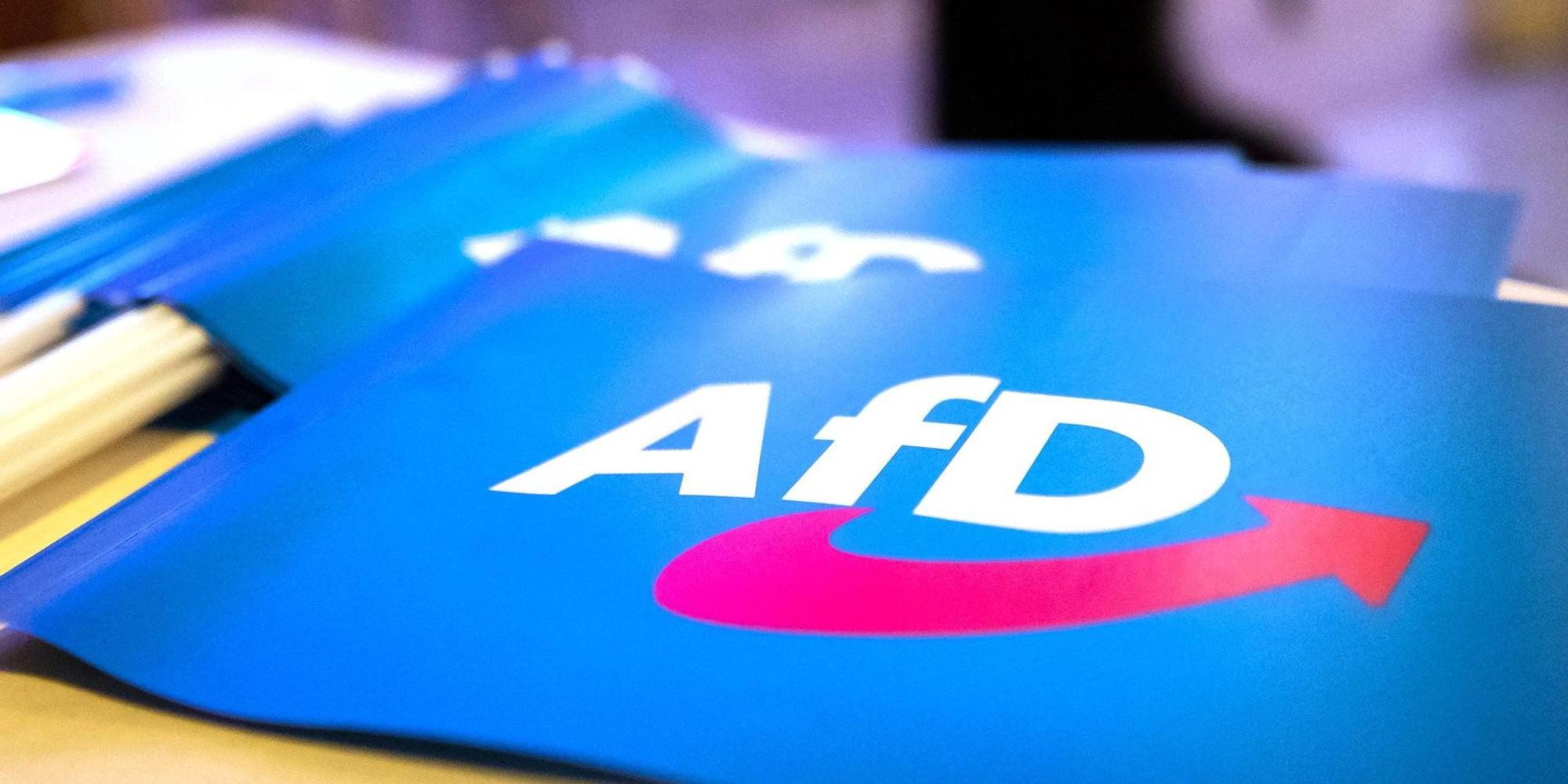 AfD Fähnchen 040722