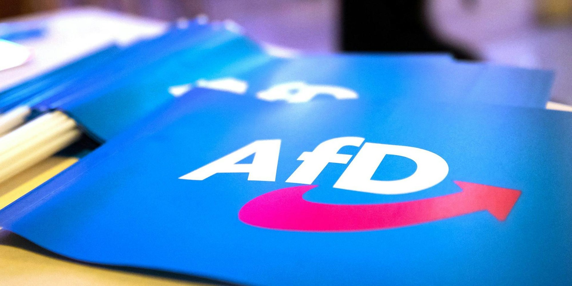 AfD Fähnchen 040722
