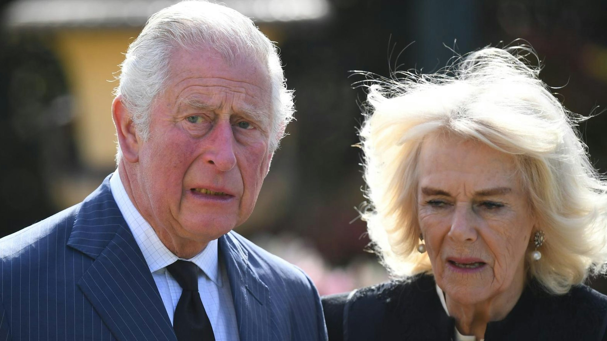Charles und Camilla gemeinsam