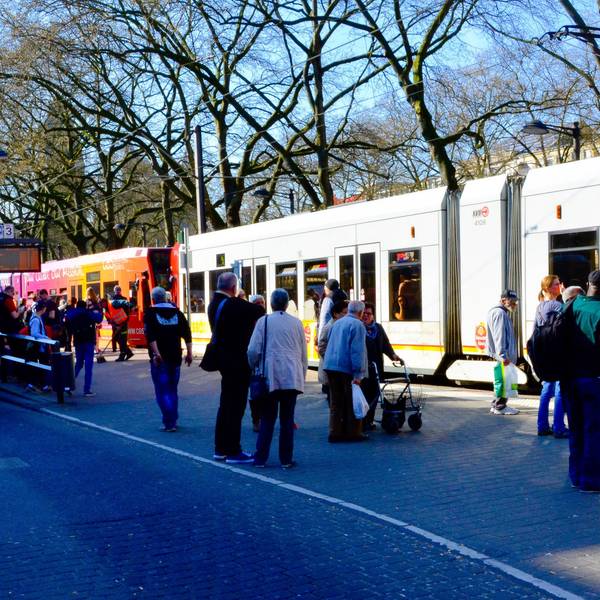 Buslinie 146