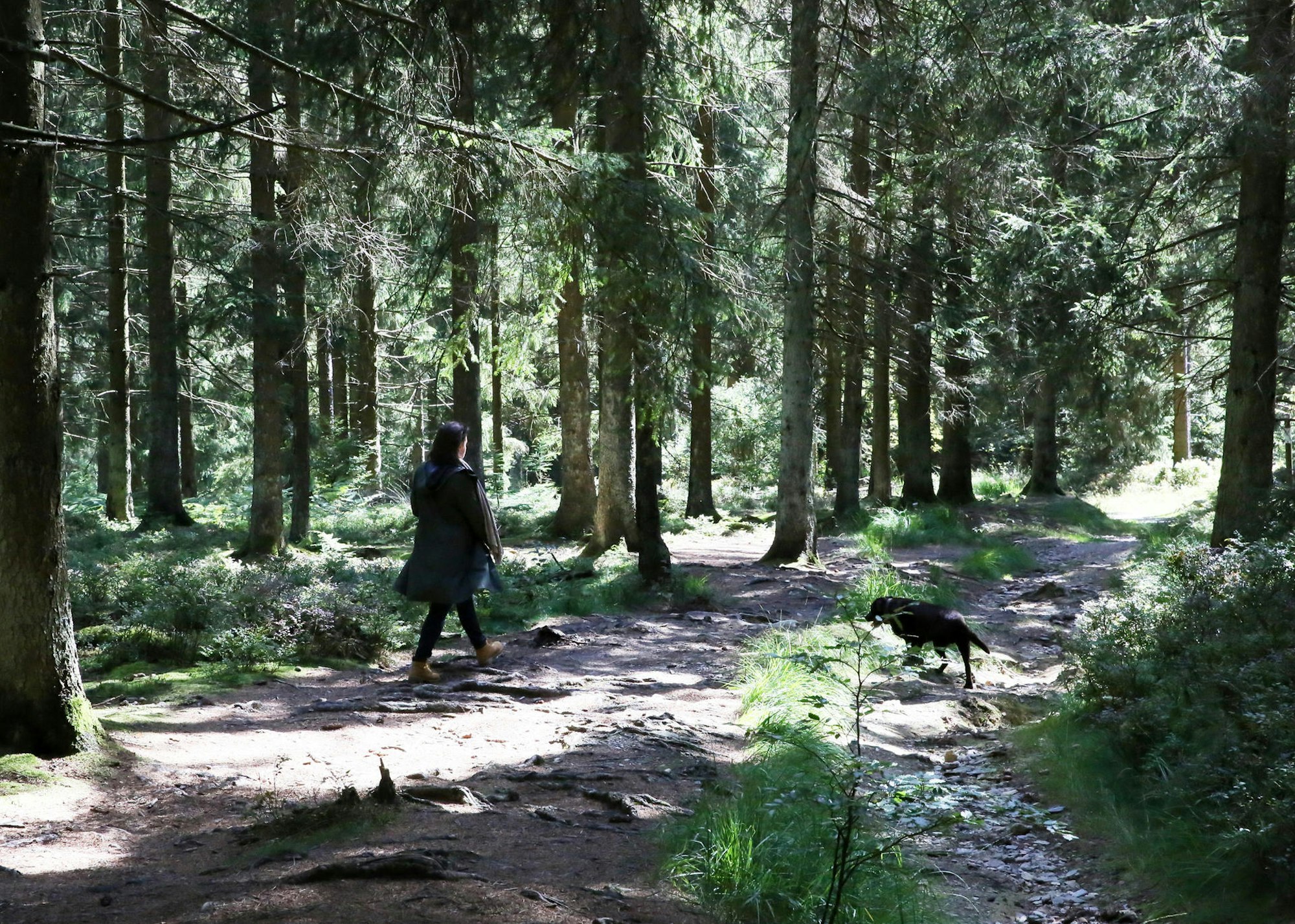 04092019_WanderungJosten_32