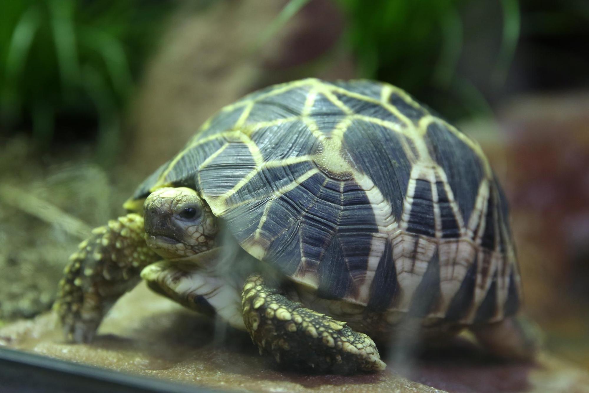 50 jahre aquarium_001