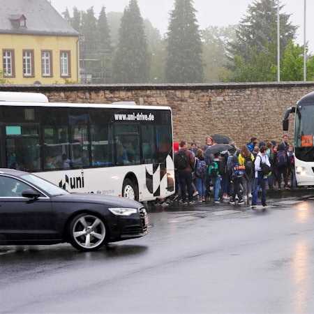 Kall_Schueler_Steinfeld