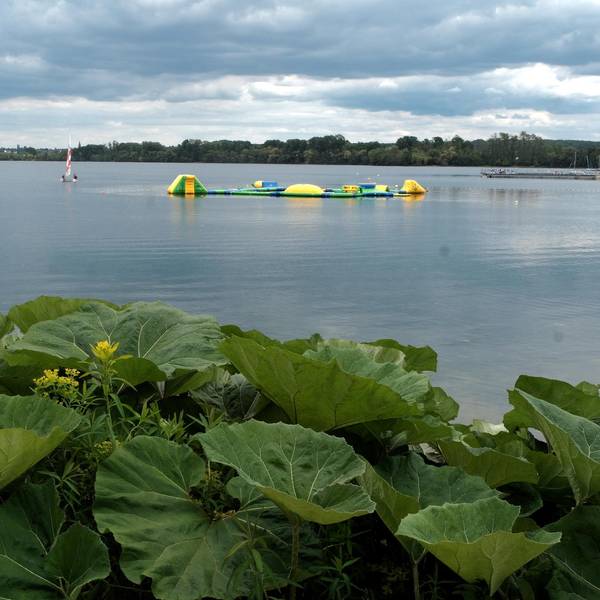 Seepark Zülpich 20190526max-zuelpich14