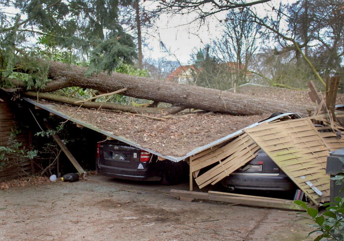 Sturm Sabine Baumsturz