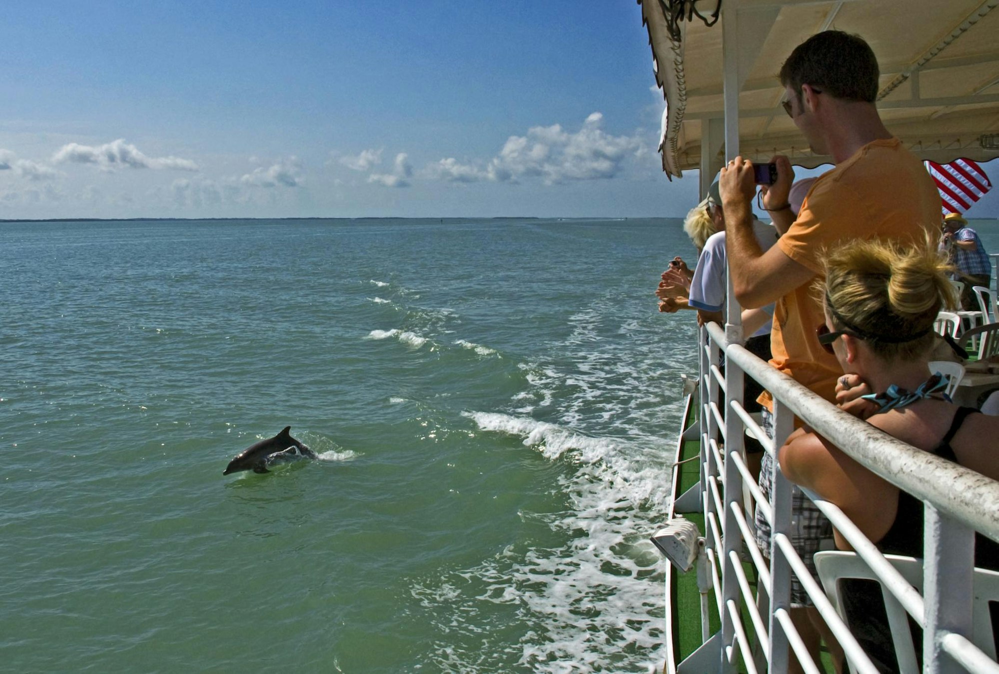 Wale-beobachten-auf-dem-offenen-Meer