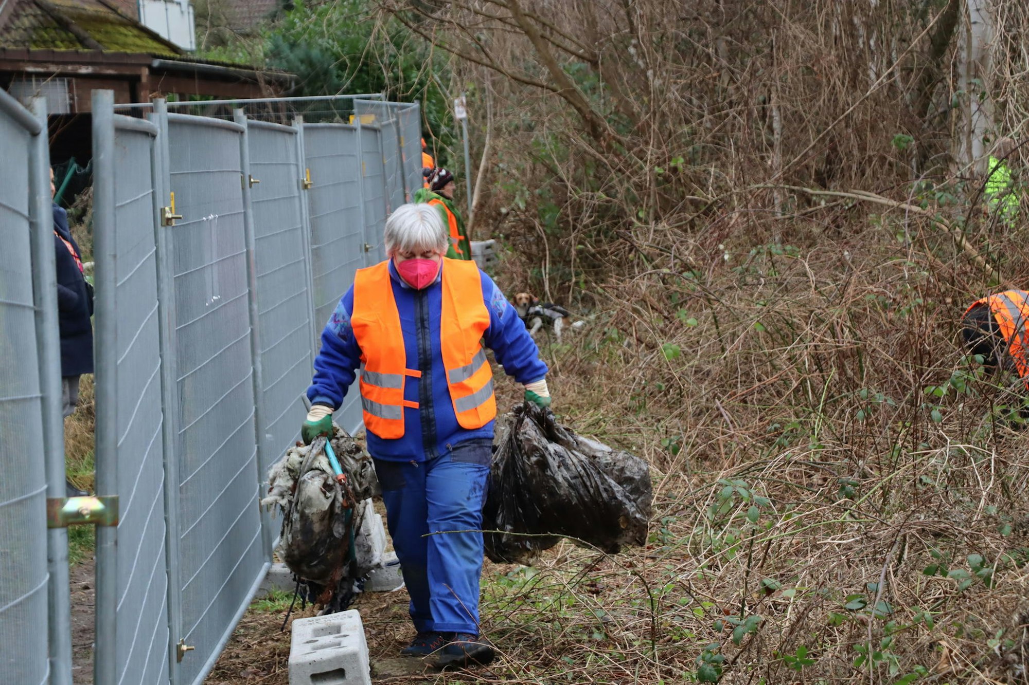 Igel-Rettung Brühl II
