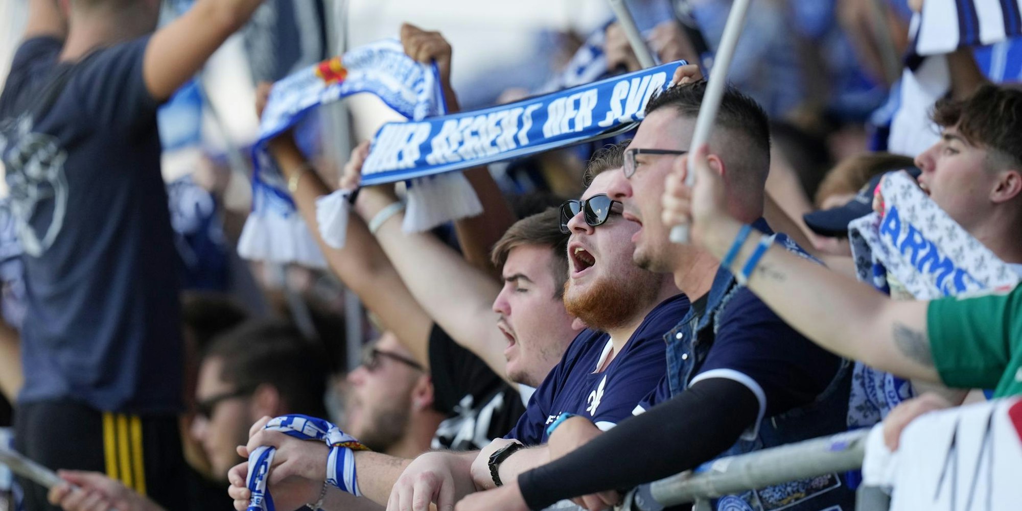 Fans Darmstadt 98