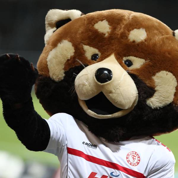 20200214-bucco-AA3I9771v