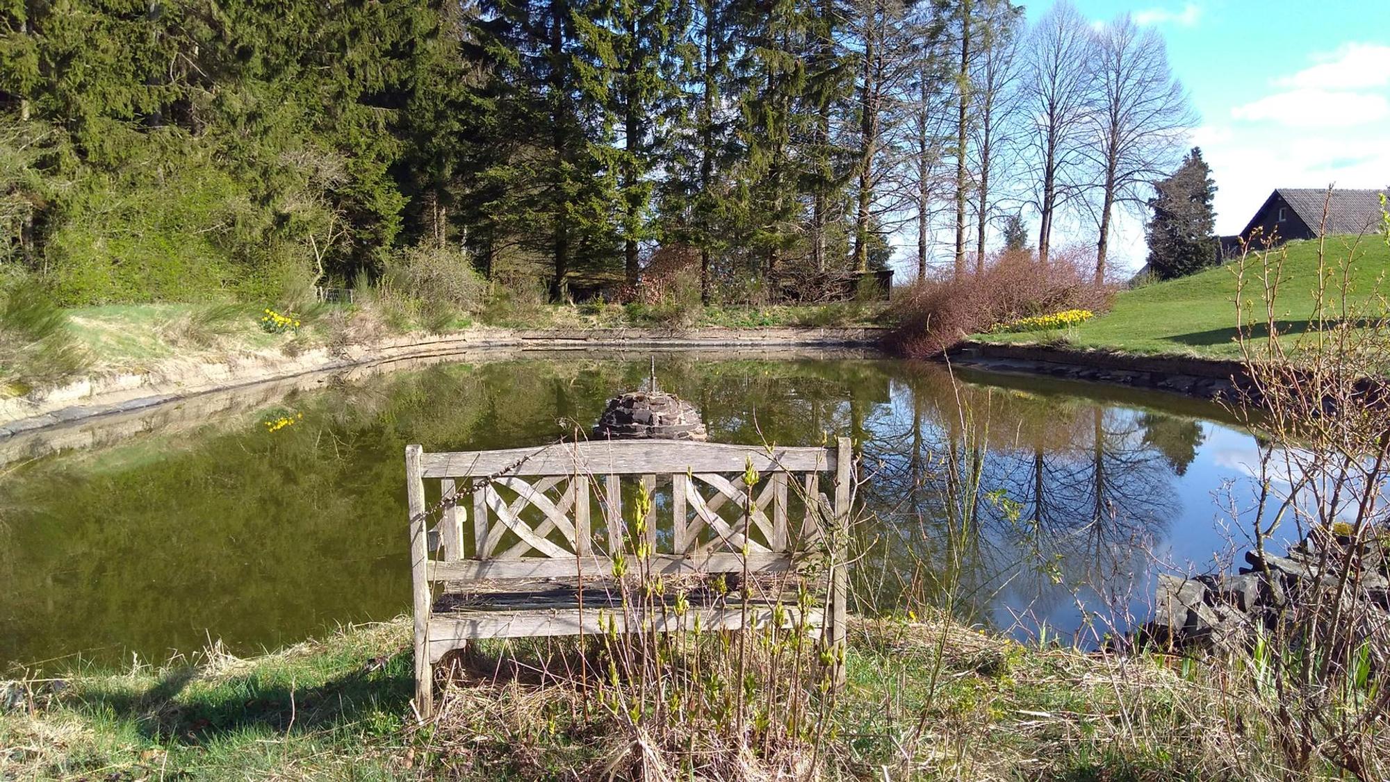 Eifel Natur Wald Reiche