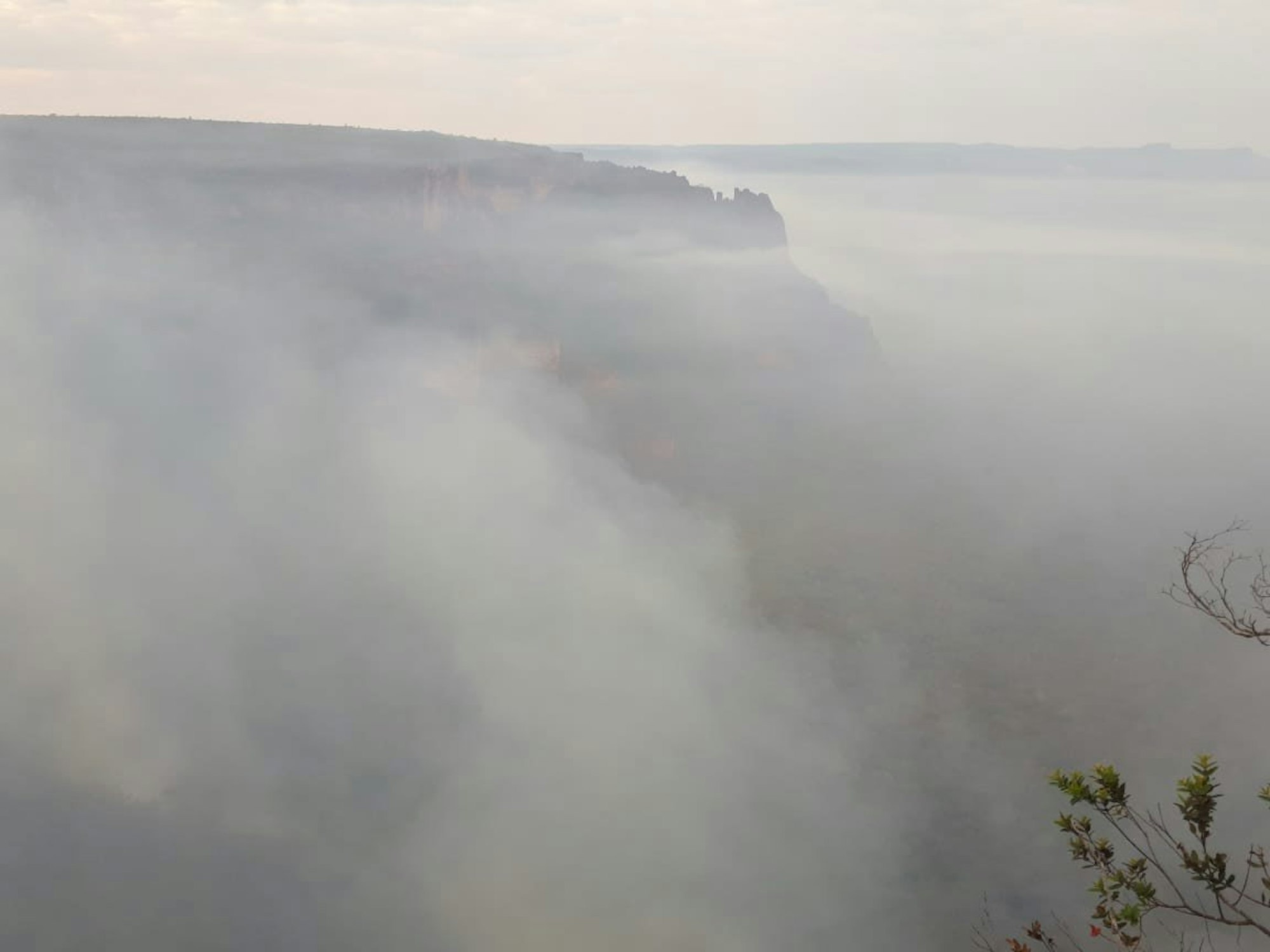 waldbrand brasilien_c