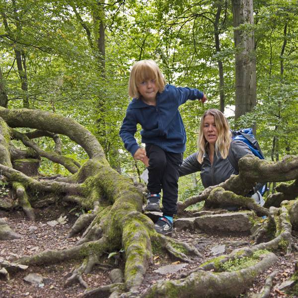 Wanderung Schloss Gimborn Bergisches Land