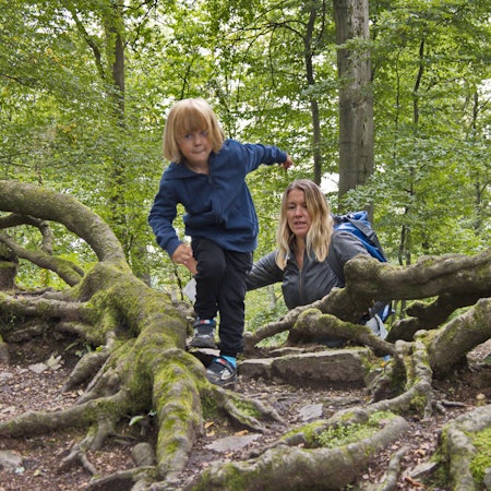 Wanderung Schloss Gimborn Bergisches Land