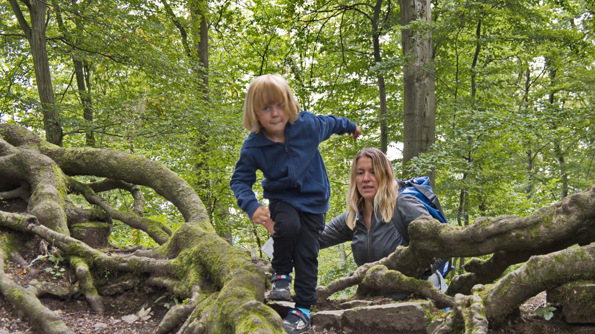 Wanderung Schloss Gimborn Bergisches Land