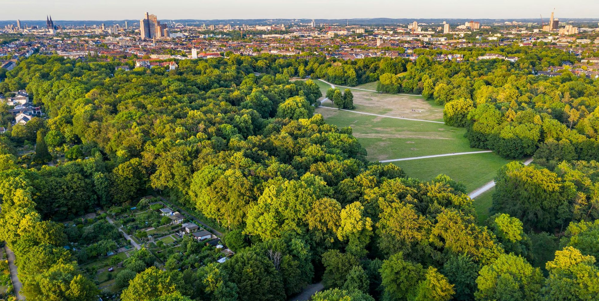 20200531-HKP-gleuelerwiese-0076