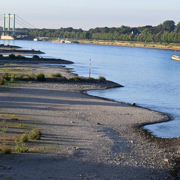 Rhein Schiff Köln dpa
